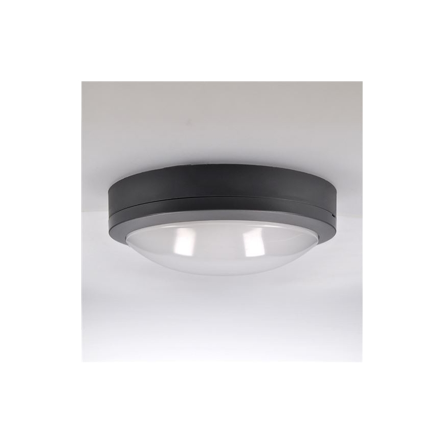 LED Vonkajšie stropné svietidlo so senzorom SIENA LED/20W/230V 4000K pr. 23 cm IP54