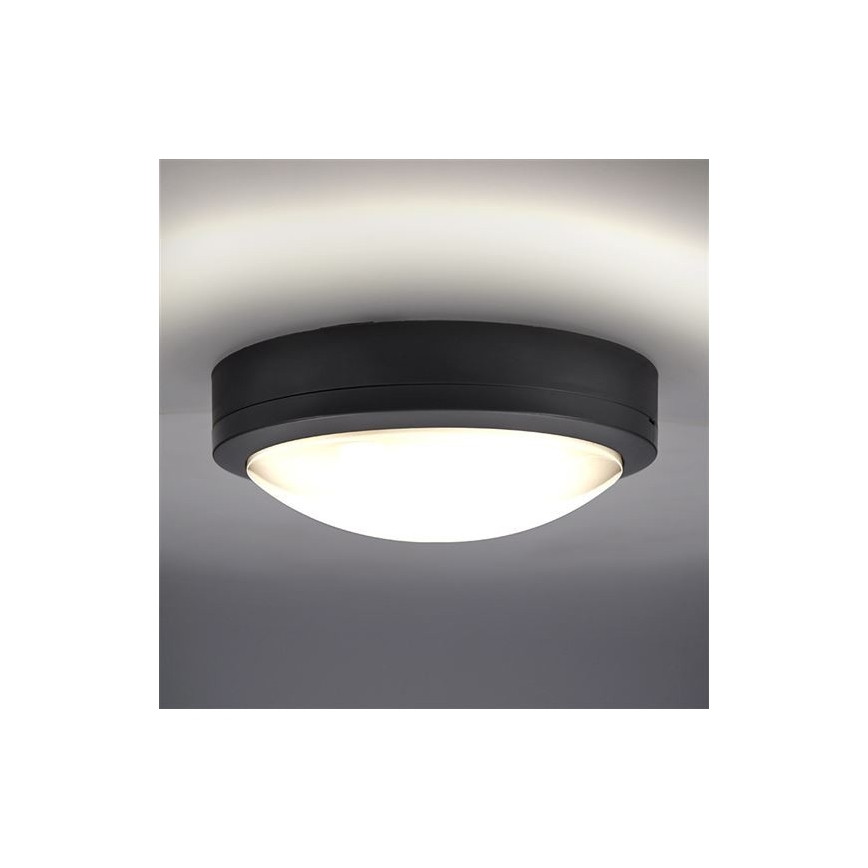 LED Vonkajšie stropné svietidlo so senzorom SIENA LED/20W/230V 4000K pr. 23 cm IP54
