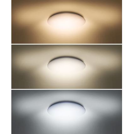 LED Stropné svietidlo PLAIN LED/24W/230V 3000K/4000K/6000K guľaté