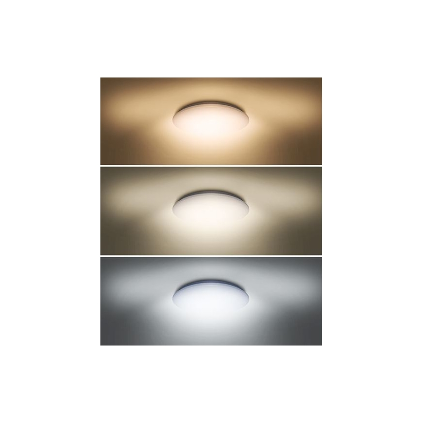 LED Stropné svietidlo PLAIN LED/24W/230V 3000K/4000K/6000K guľaté