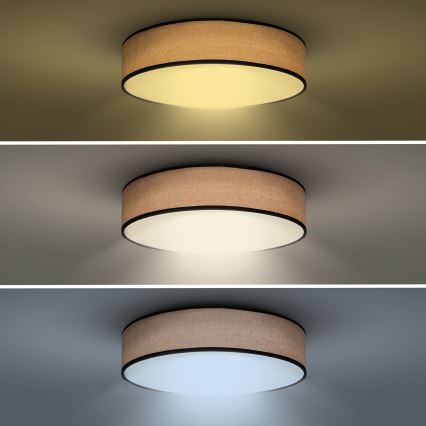 LED Stmievateľné stropné svietidlo BROWNIE LED/48W/230V 3000-6500K hnedá pr. 40 cm + diaľkové ovládanie