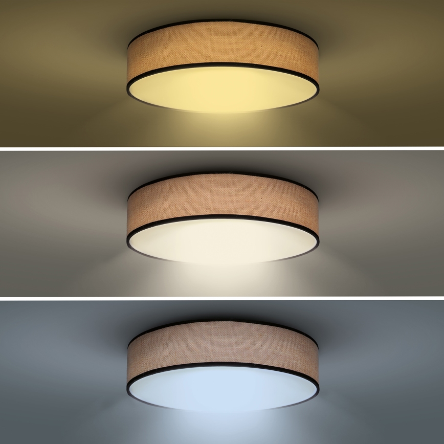LED Stmievateľné stropné svietidlo BROWNIE LED/48W/230V 3000-6500K hnedá pr. 40 cm + diaľkové ovládanie