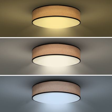 LED Stmievateľné stropné svietidlo BROWNIE LED/60W/230V 3000-6500K hnedá pr. 50 cm + diaľkové ovládanie