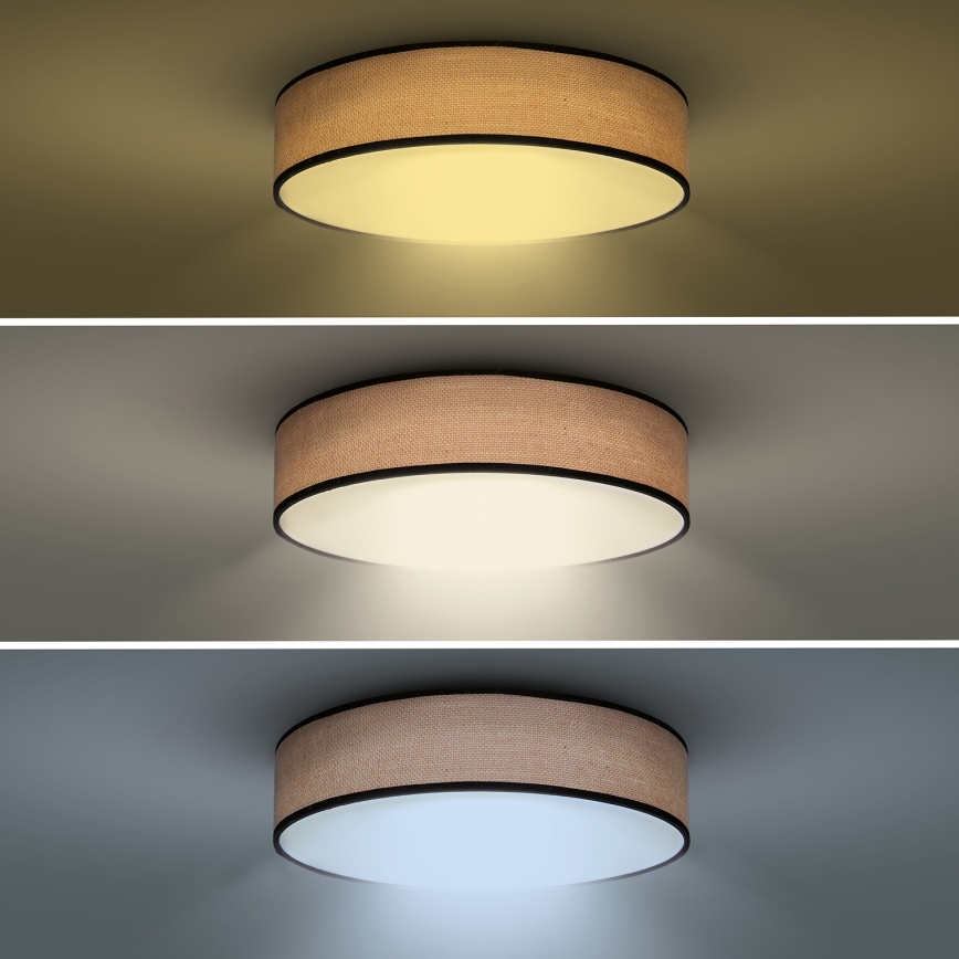 LED Stmievateľné stropné svietidlo BROWNIE LED/60W/230V 3000-6500K hnedá pr. 50 cm + diaľkové ovládanie