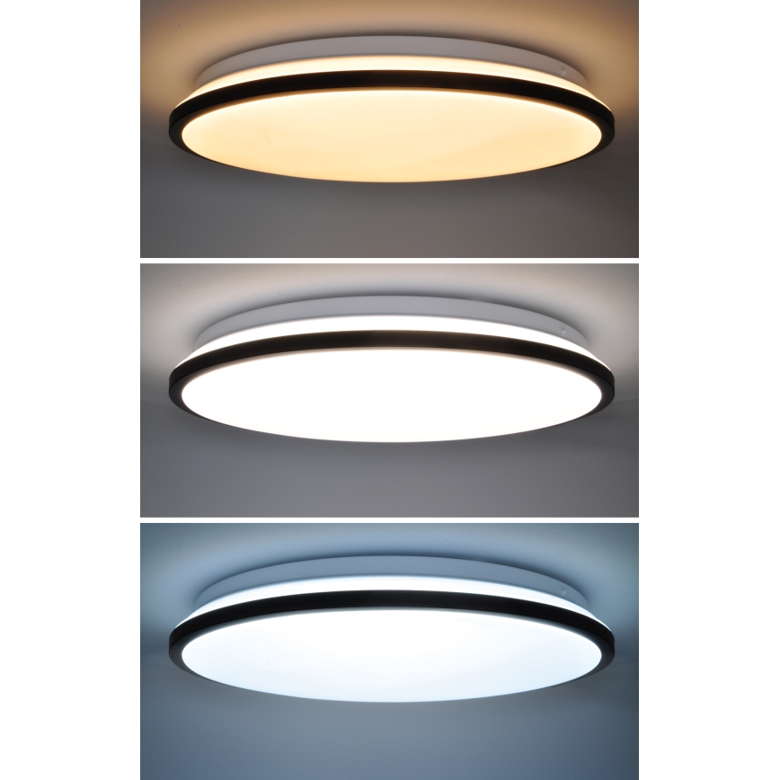 LED Stmievateľné stropné svietidlo JAMIL LED/48W/230V 3000-6500K čierna + diaľkové ovládanie