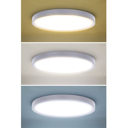 LED Stmievateľné stropné svietidlo ESTELA LED/36W/230V pr.30 cm biela + diaľkové ovládanie