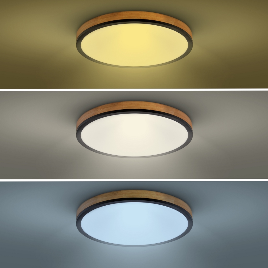 LED Stmievateľné stropné svietidlo LED/40W/230V 3000-6500K dub + diaľkové ovládanie