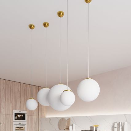 Závesný luster na lanku TOYA 1xE27/60W/230V pr. 20 cm biela/zlatá
