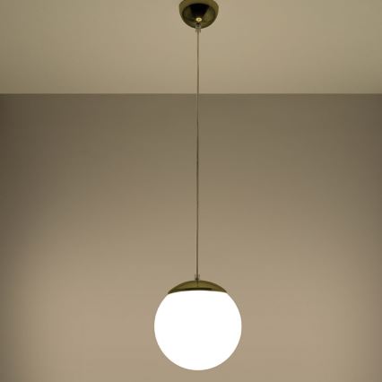 Závesný luster na lanku TOYA 1xE27/60W/230V pr. 20 cm biela/zlatá