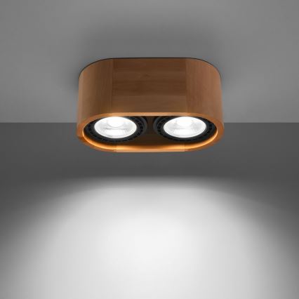Stropné svietidlo BASIC AR111 2xGU10/40W/230V buk