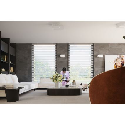 Stropné svietidlo LAPPO 2xE27/15W/230V biela