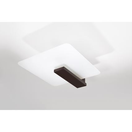 Stropné svietidlo LAPPO 2xE27/15W/230V wenge