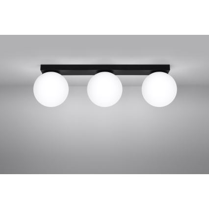 Stropné svietidlo YOLI 3xG9/12W/230V čierna