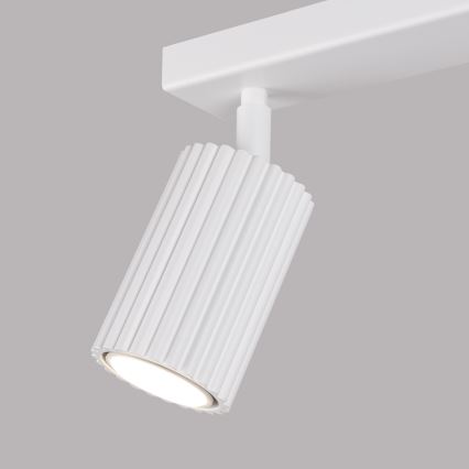 Bodové svietidlo KARBON 2xGU10/10W/230V biela