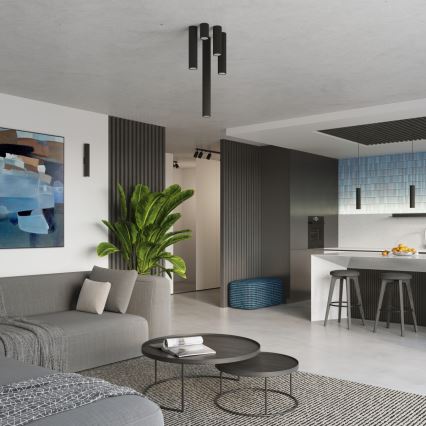 Bodové svietidlo KARBON 1xGU10/10W/230V 30 cm čierna