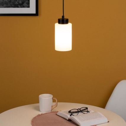 Luster na lanku BOSCO 1xE27/60W/230V