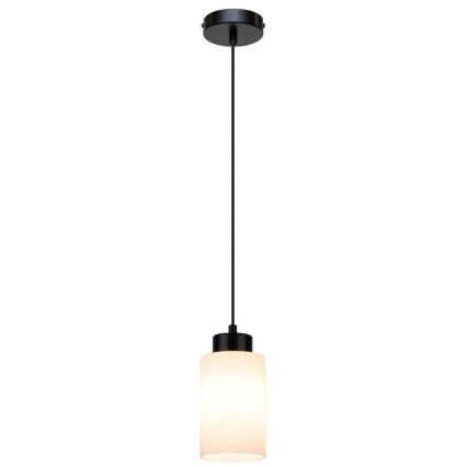Luster na lanku BOSCO 1xE27/60W/230V