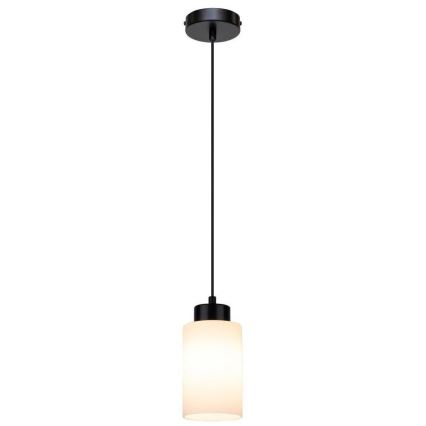 Luster na lanku BOSCO 1xE27/60W/230V – FSC certifikované