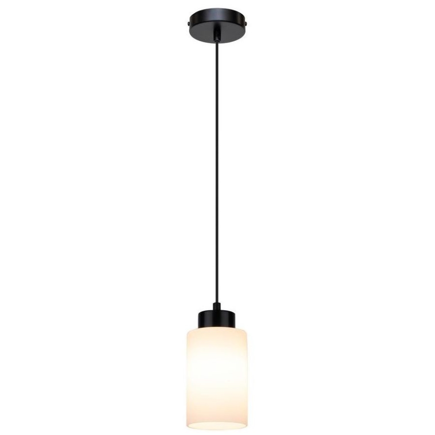 Luster na lanku BOSCO 1xE27/60W/230V