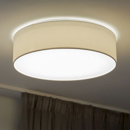 LED Stropné svietidlo JOSEFINA LED/18W/230V