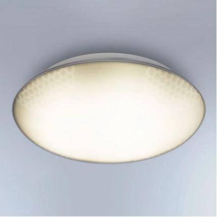 Steinel 035440 - LED Vonkajšie stropné svietidlo so senzorom QUATTRO LED/10W/230V IP54