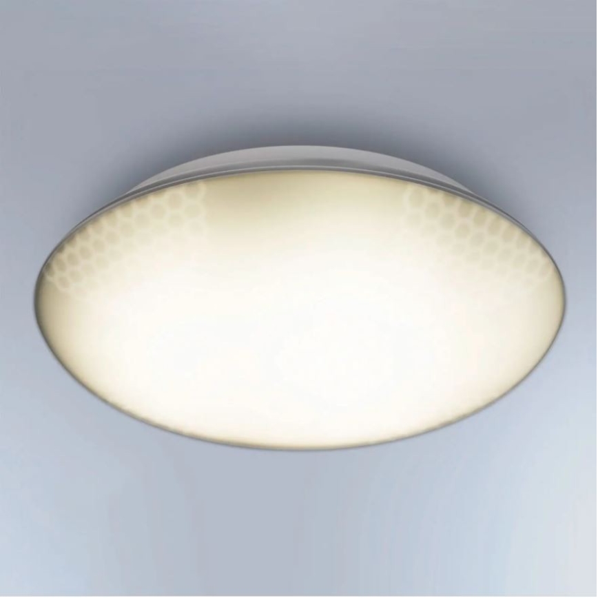Steinel 035440 - LED Vonkajšie stropné svietidlo so senzorom QUATTRO LED/10W/230V IP54