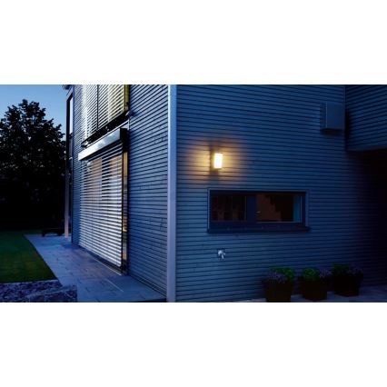 STEINEL 053116 - LED Vonkajšie nástenné svietidlo so senzorom L666 LED/9W/230V IP44