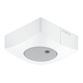 Steinel 057411 - Svetelný senzor DUAL-E DALI2 hranatý biela