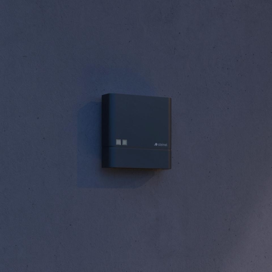 Steinel 066130 - Súmrakový spínač NIGHTMATIQ IP54 antracit