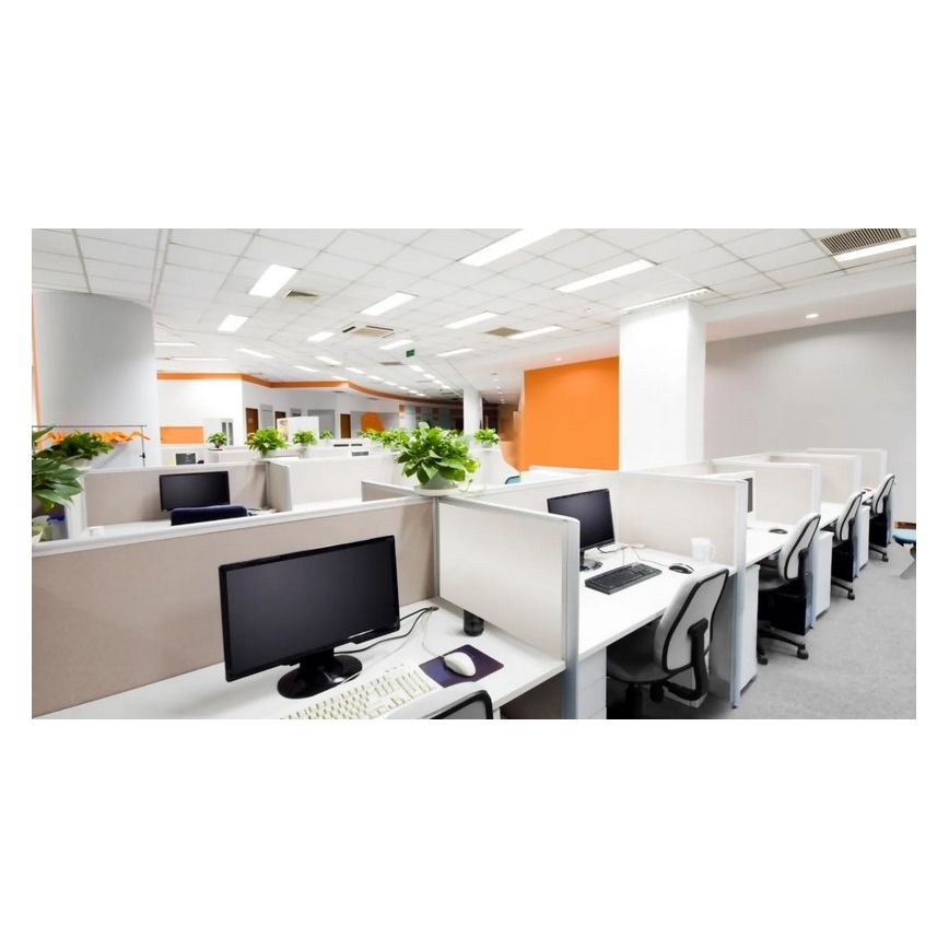 Steinel 079574 - Prezenčný hlásič DualTech COM1 biela