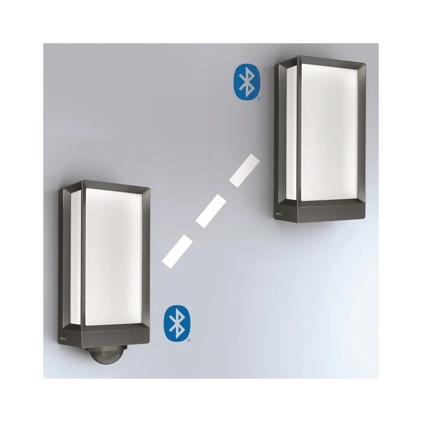 Steinel 085254 - LED Stmievateľné vonkajšie nástenné svietidlo L42C LED/12,6W/230V IP54
