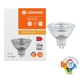 Stmievateľná LED reflektorová žiarovka MR16 GU5,3/6,6W/12V 4000K 36° CRI 97 - Ledvance