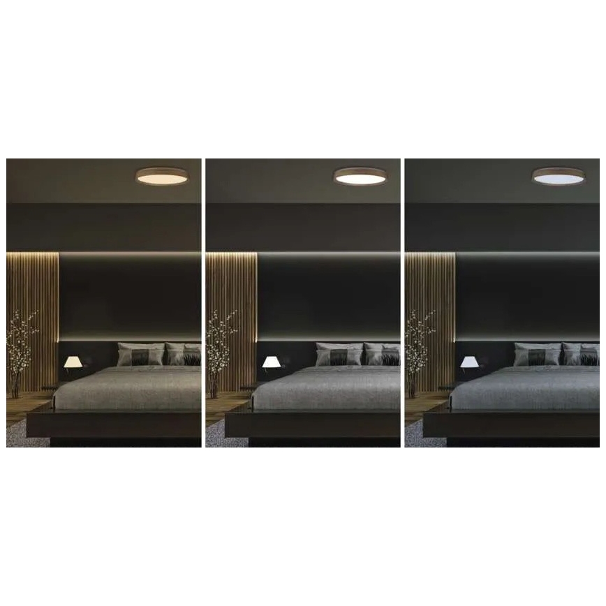 LED Stmievateľné stropné svietidlo ILVI LED/45W/230V 2700-6500K pr. 50 cm béžové + diaľkové ovládanie
