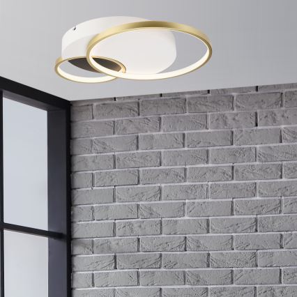 Stmievateľné stropné svietidlo BENITO LED/31W/230V 3000-6500K biela/zlatá