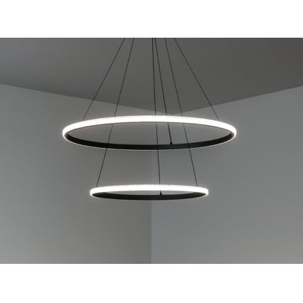 LED stmievateľný luster na lane LED/55W/230V 3000-6500K pr. 60 cm + diaľkové ovládanie