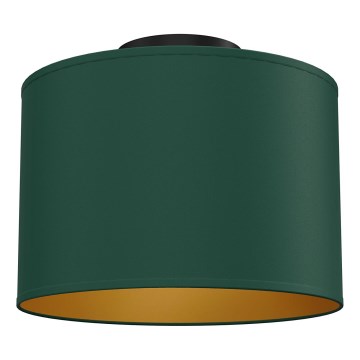 Stropné svietidlo ARDEN 1×E27/15W/230V, priemer 25 cm, zelené