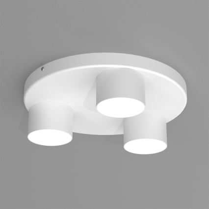 Stropné svietidlo DIXIE 3xGX53/11W/230V biela
