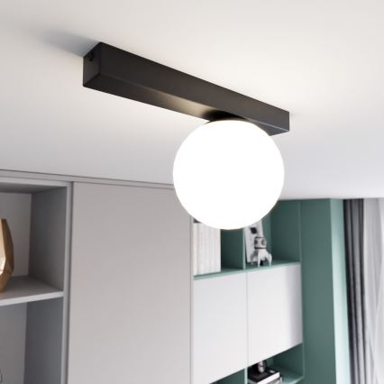 Stropné svietidlo FIT 1xE14/10W/230V čierna/biela
