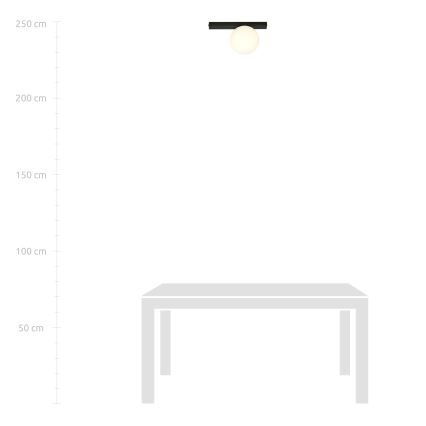 Stropné svietidlo FIT 1xE14/10W/230V čierna/biela