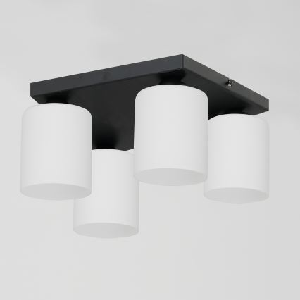 Stropné svietidlo FORT 4xE27/60W/230V