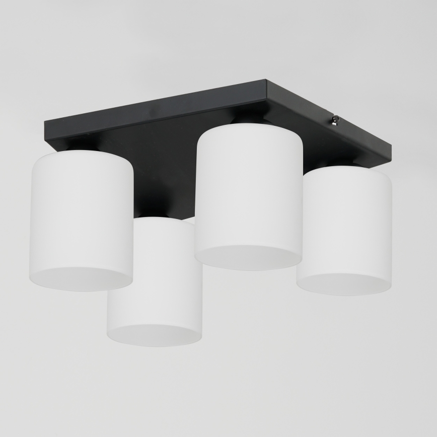 Stropné svietidlo FORT 4xE27/60W/230V