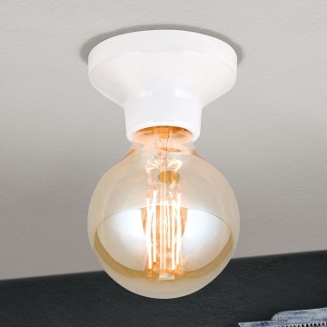 Stropné svietidlo FROST 1xE27/60W/230V biela