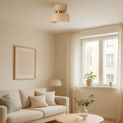 Stropné svietidlo IGNIA 1xE27/60W/230V taupe