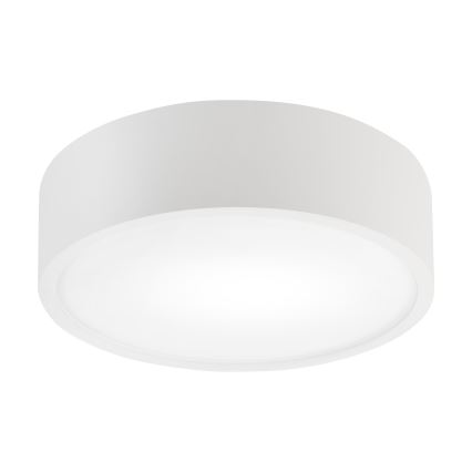 Stropné svietidlo NATURAL 1xE27/15W/230V priemer 27,5 cm borovica/biela