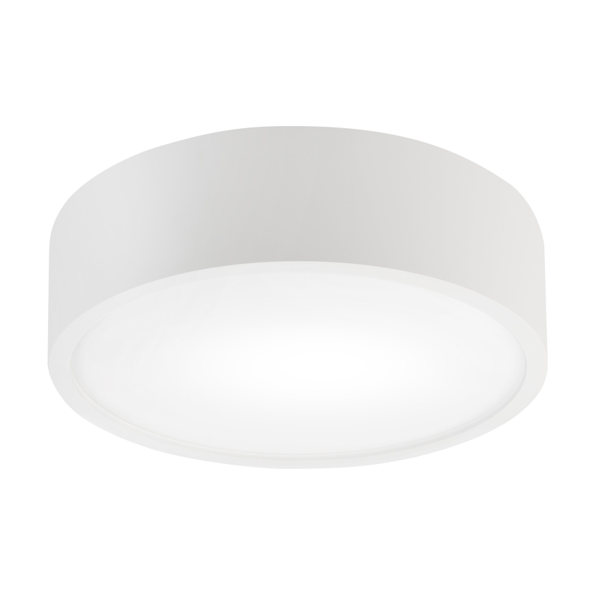 Stropné svietidlo NATURAL 1xE27/15W/230V priemer 27,5 cm borovica/biela