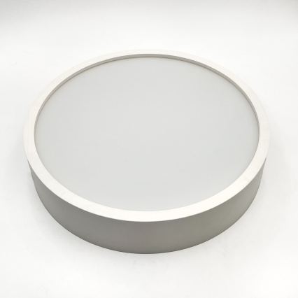 Stropné svietidlo NATURAL 1xE27/15W/230V priemer 27,5 cm borovica/biela