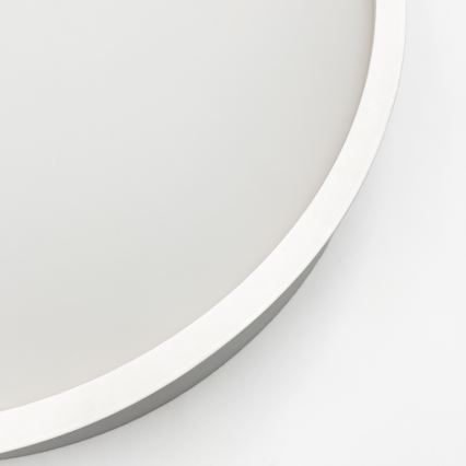 Stropné svietidlo NATURAL 1xE27/15W/230V priemer 27,5 cm borovica/biela