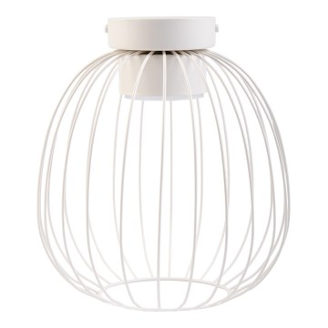 Stropné svietidlo OVELLA 1xGX53/10W/230V pr. 25 cm krémové