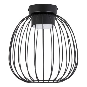 Stropné svietidlo OVELLA 1xGX53/10W/230V, priemer 25 cm, čierne