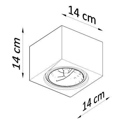 Stropné svietidlo SEIDA 1xGU10/40W/230V